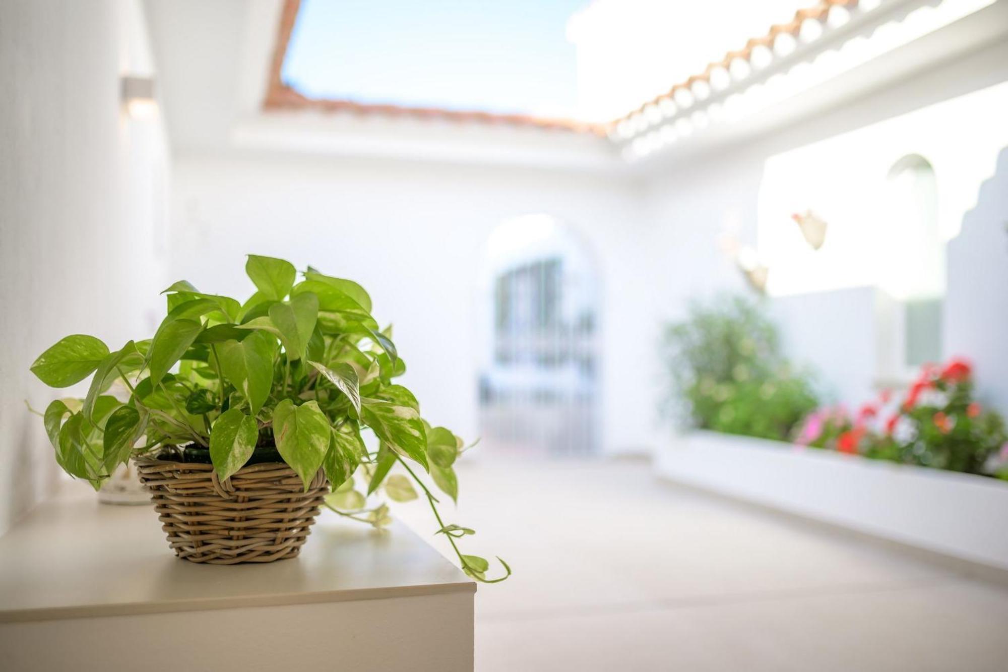 Villa Ponti A5 Direkt Am Meer Santo Tomás Exteriér fotografie